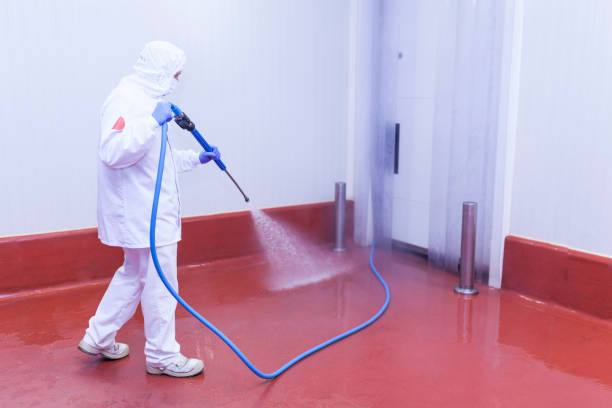Trevorton, PA Pressure Washing Services Company