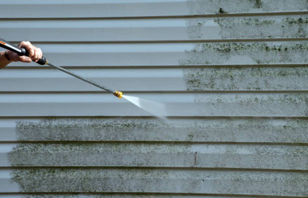 Best Sidewalk and Walkway Cleaning  in Trevorton, PA